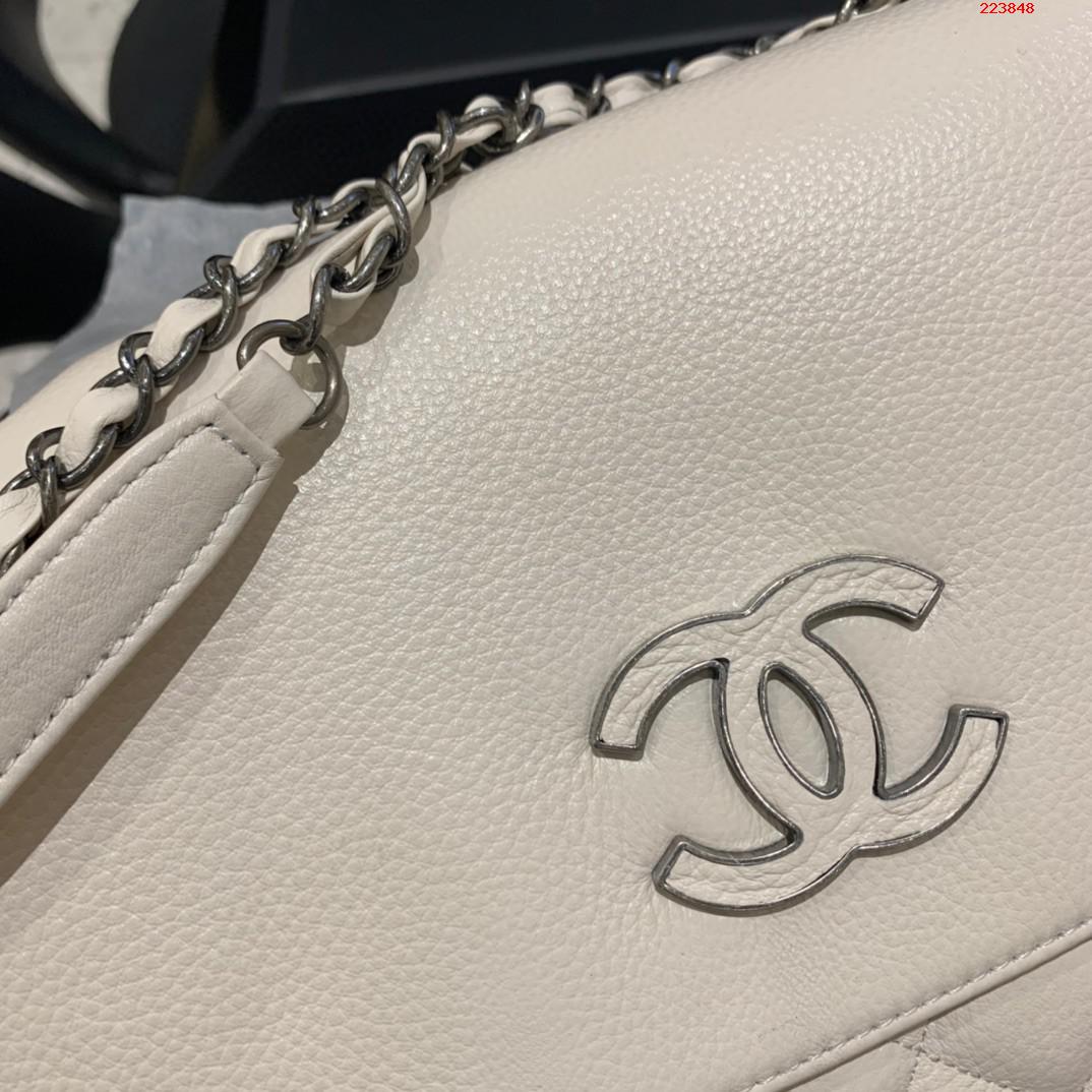 CHANEL    型号8095   2020年新款 鹿纹牛皮休闲包 